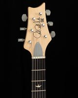 Paul Reed Smith SE Silver Sky Storm Gray