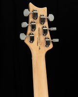 Paul Reed Smith SE Silver Sky Storm Gray