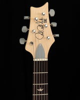 Paul Reed Smith SE Silver Sky Storm Gray