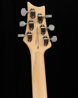 Paul Reed Smith SE Silver Sky Storm Gray