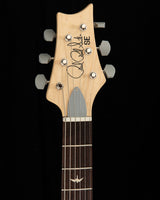 Paul Reed Smith SE Silver Sky Storm Gray