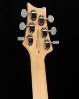 Paul Reed Smith SE Silver Sky Storm Gray