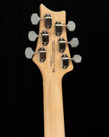 Paul Reed Smith SE Silver Sky Storm Gray