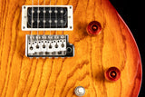 Paul Reed Smith SE Swamp Ash Special Vintage Burst