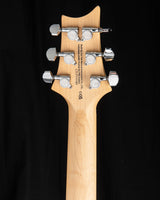 Paul Reed Smith SE Swamp Ash Special Iri Blue