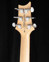 Paul Reed Smith SE Swamp Ash Special Iri Blue