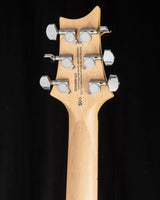 Paul Reed Smith SE Swamp Ash Special Iri Blue