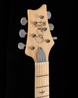 Paul Reed Smith SE Silver Sky Maple Stone Blue