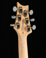 Paul Reed Smith SE Silver Sky Nylon Blue