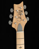 Paul Reed Smith SE Silver Sky Nylon Blue