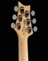 Paul Reed Smith SE Silver Sky Nylon Blue