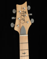 Paul Reed Smith SE Silver Sky Nylon Blue