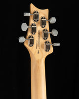 Paul Reed Smith SE Silver Sky Summit Purple