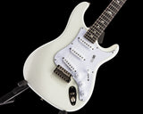 Paul Reed Smith Silver Sky Frost