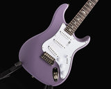 Paul Reed Smith Silver Sky Satin Black Plum