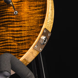 Paul Reed Smith Wood Library Custom 24 Stoptail Limited Edition Tiger Eye