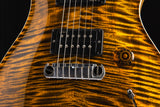 Paul Reed Smith Wood Library Custom 24 Stoptail Limited Edition Tiger Eye