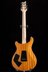 Paul Reed Smith Wood Library Artist Modern Eagle V Brian's Guitars 15th Anniversary Zombie Fade Limited