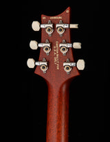 Paul Reed Smith Wood Library DGT Satin Brian's Limited Autumn Sky