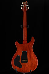 Paul Reed Smith Wood Library DGT Satin Brian's Limited Autumn Sky