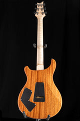 Paul Reed Smith Wood Library Modern Eagle V Jade Burst Brian's Guitars Limited