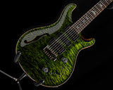 Paul Reed Smith Wood Library Special Semi-Hollow Jade Brian's Limited