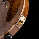 Paul Reed Smith Custom 24 Yellow Tiger