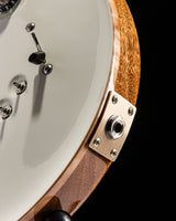 Paul Reed Smith Special Semi-Hollow Antique White