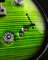 Paul Reed Smith Wood Library Special Semi-Hollow Eriza Verde Smokeburst Brian's Limited