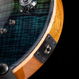 Paul Reed Smith Wood Library Artist Modern Eagle V Brian’s Guitars 15th Anniversary Limited Zombie Fade