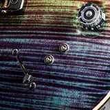 Paul Reed Smith Wood Library Artist Modern Eagle V Brian's Guitars 15th Anniversary Zombie Fade Limited