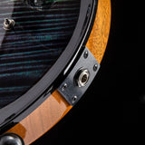 Paul Reed Smith Wood Library Artist Modern Eagle V Brian's Guitars 15th Anniversary Zombie Fade Smokeburst Limited