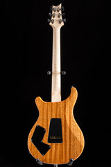 Paul Reed Smith Wood Library Artist Modern Eagle V Brian's Guitars 15th Anniversary Zombie Fade Smokeburst Limited