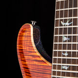 Paul Reed Smith Wood Library Artist Modern Eagle V Brian’s Guitars 15th Anniversary Limited Zombie Fade