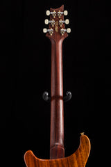 Paul Reed Smith Wood Library DGT Semi-Hollow Aurora Borealis Brian's Guitars Limited