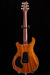 Paul Reed Smith Wood Library DGT Semi-Hollow Aurora Borealis Brian's Guitars Limited