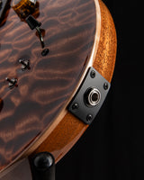 Paul Reed Smith Wood Library Special Semi-Hollow Copperhead Brian's Limited