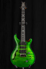 Paul Reed Smith Wood Library Special Semi-Hollow Eriza Verde Brian's Limited