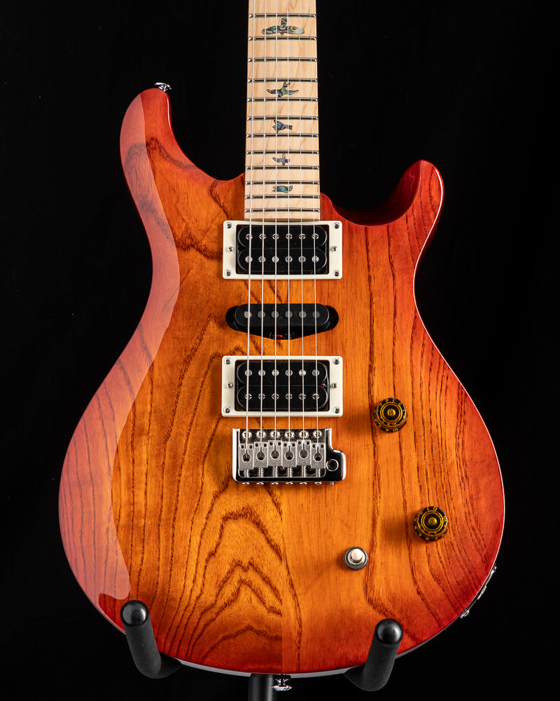 ギター Paul Reed Smith SE Swamp Ash Special Amazon.com: PRS SE Swamp Ash Special Electric Guitar, Vintage