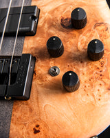 Spector USA Custom Shop NS-2 Maple Burl