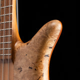 Spector USA Custom Shop NS-2