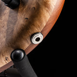 Spector USA Custom Shop NS-2