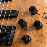 Spector USA Custom Shop NS-2