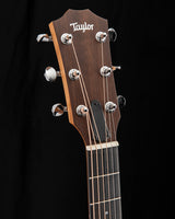 Taylor 24ce Sapele