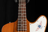 1976 Gibson Thunderbird Bicentennial