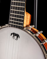 Used Lame Horse Gitjo
