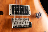 Used Paul Reed Smith CE 24 Semi-Hollow Reclaimed Limited Peroba Rosa