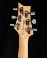 Used Paul Reed Smith SE Silver Sky Stone Blue