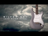 Paul Reed Smith Silver Sky Black Plum Satin