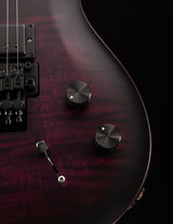 Paul Reed Smith DW CE 24 Floyd Dustie Waring Signature Waring Burst